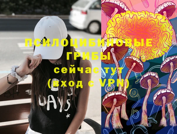 амф Алзамай