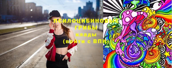 соль ск Алексин