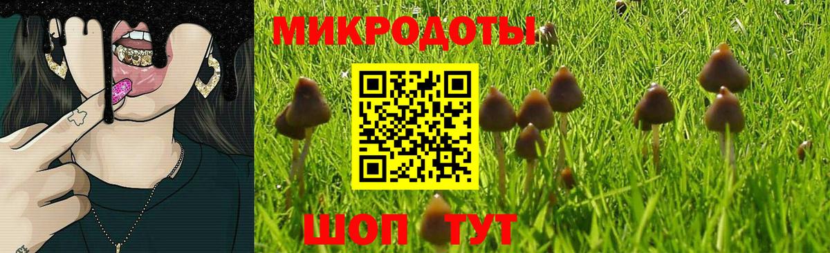 цена наркотик  Вход с VPN  Ачинск  Псилоцибиновые грибы Magic Shrooms  Галлюциногенные грибы Psilocybe 